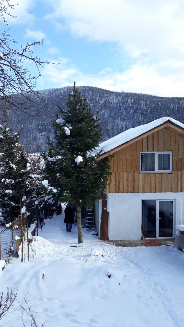 Hotel Садиба "У Чубчика" à Yaremtche Extérieur photo