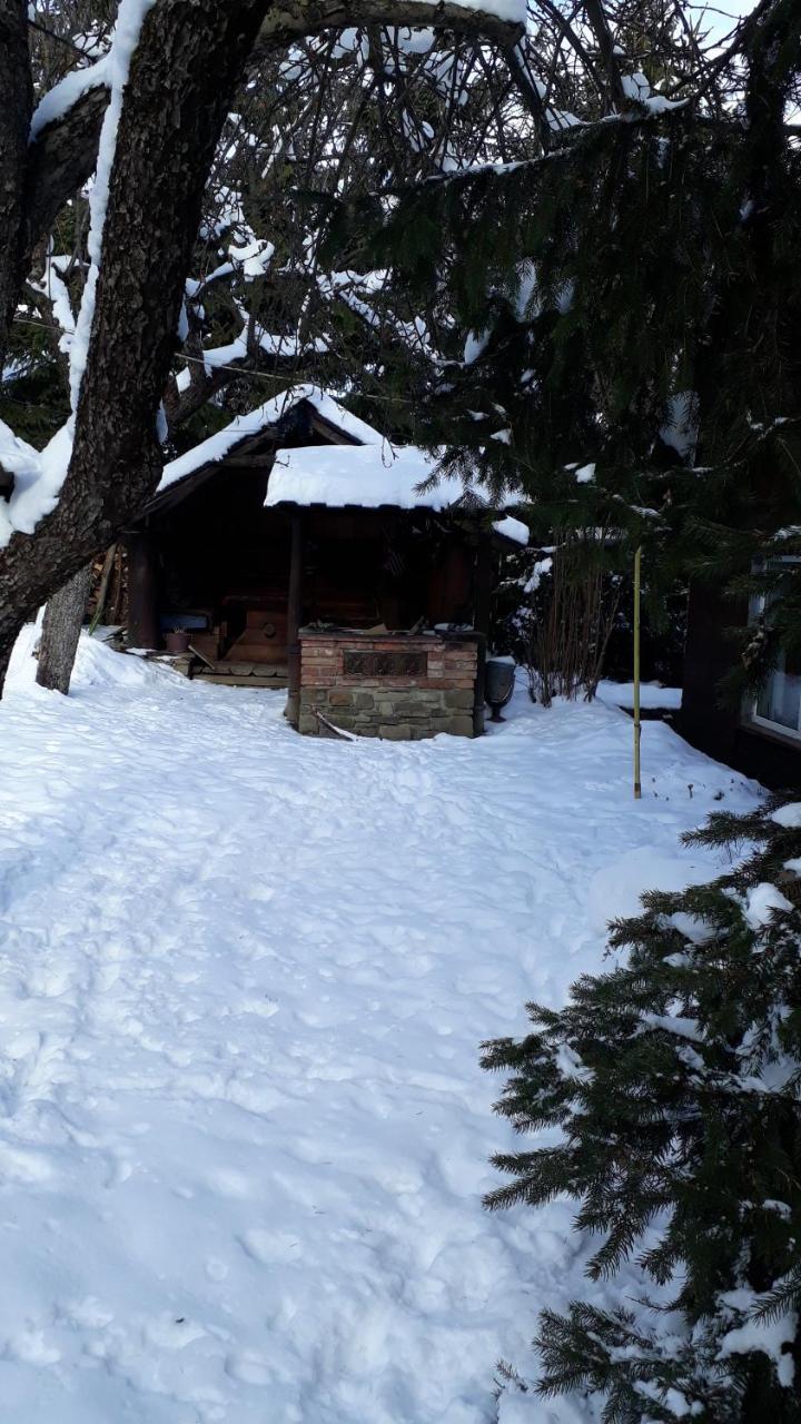 Hotel Садиба "У Чубчика" à Yaremtche Extérieur photo